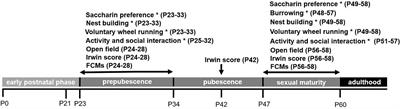 Phenotyping Young GluA1 Deficient Mice – A Behavioral Characterization in a Genetic Loss-of-Function Model